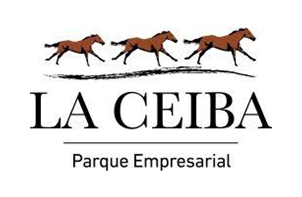 Caribbean Star Properties